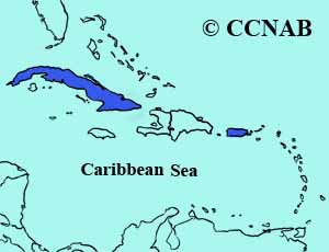 Cuban Martin range map