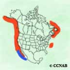 Leach's Storm-Petrel range